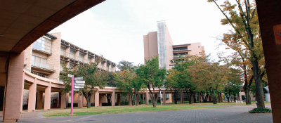 image of university