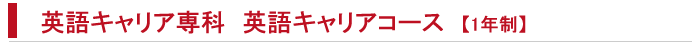 �L�����A�f�U�C����ȉp��L�����A�R�[�X