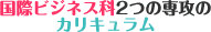 ���ۃr�W�l�X���{��2�̃J���L������
