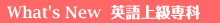 what's new �p��㋉���