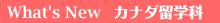 what's new �J�i�_���w��