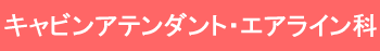 �L���r���A�e���_���g�E�G�A���C����