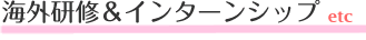 �����p��Ȃ̊C�O���C���C���^�[���V�b�v