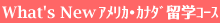 what's new アメリカ留学科