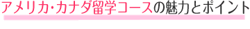 アメリカ留学科の魅力とポイント