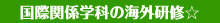 ���ۊ֌W�w�ȁ��C�O���C�I