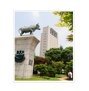 韓国留学