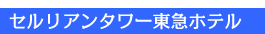 �Z�����A���^���[���}�z�e������