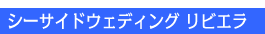 �V�[�T�C�h�E�G�f�B���O���r�G����ײ��ٽ��̓���