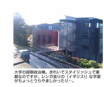 国際政治学部の校舎