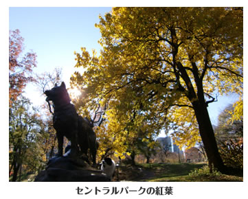 カーネギーホールにて
