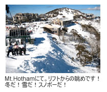 Mt.Hotham