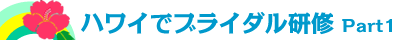 �n���C�Ńu���C�_�����C���s���܂���