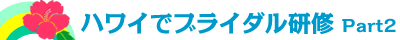 �n���C�Ńu���C�_�����C���s���܂���