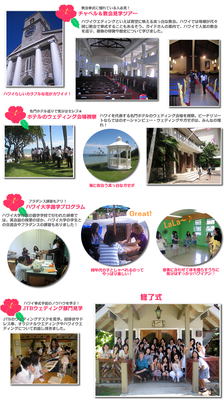 �n���C�Ńu���C�_�����K�I�������z�e���E�F�f�B���O�̕׋�