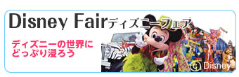 �f�B�Y�j�[�t�F�A