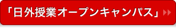 OƃI[vLpX