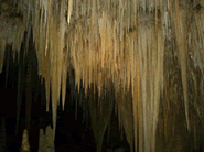 Hasting Cave�̒��̗l�q