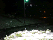 降り始めた雪