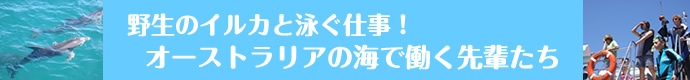 쐶̃CJƉjd鑲Ɛ